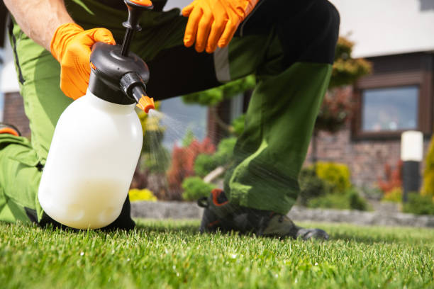 Best Flea Control Services  in Gaylord, MN