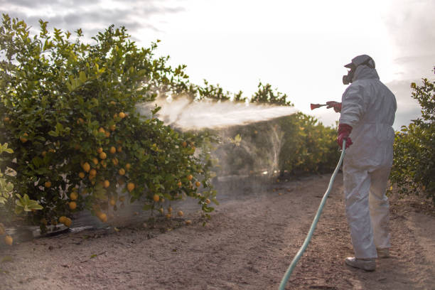 Best Affordable Pest Control Services  in Gaylord, MN