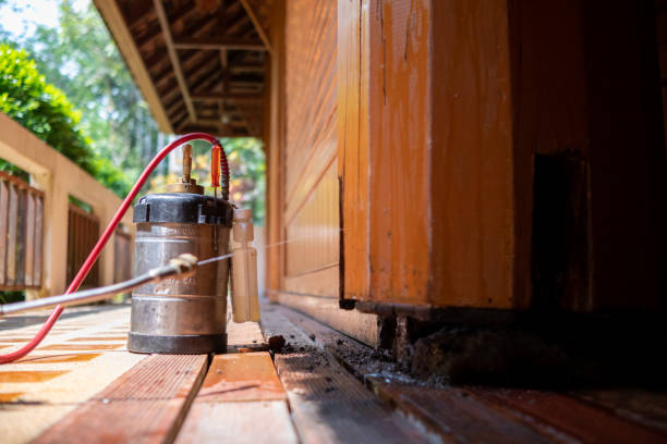 Best Local Pest Control Services  in Gaylord, MN
